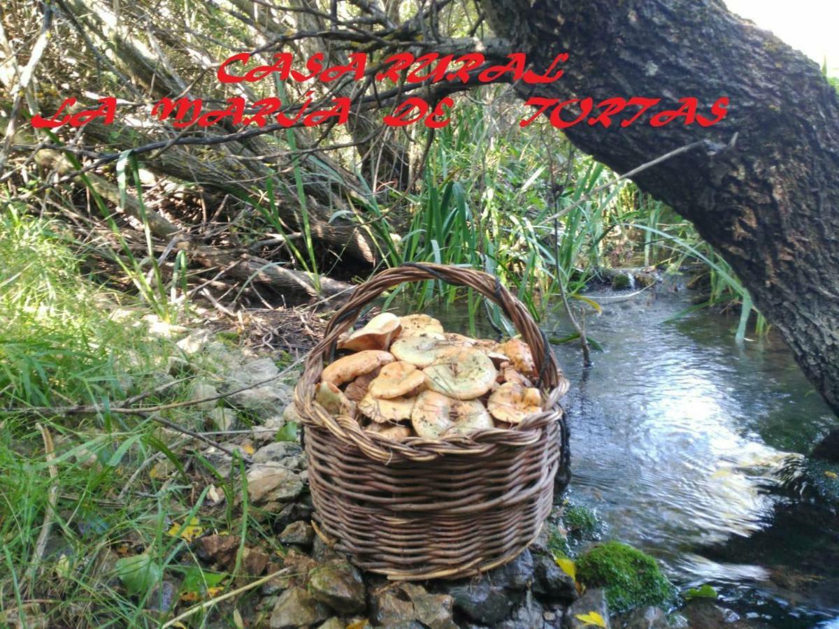 La María de Tortas Paterna del Madera Exterior foto
